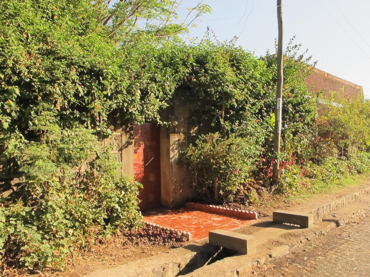 B&B The Annex Bahir Dar Ngoại thất bức ảnh